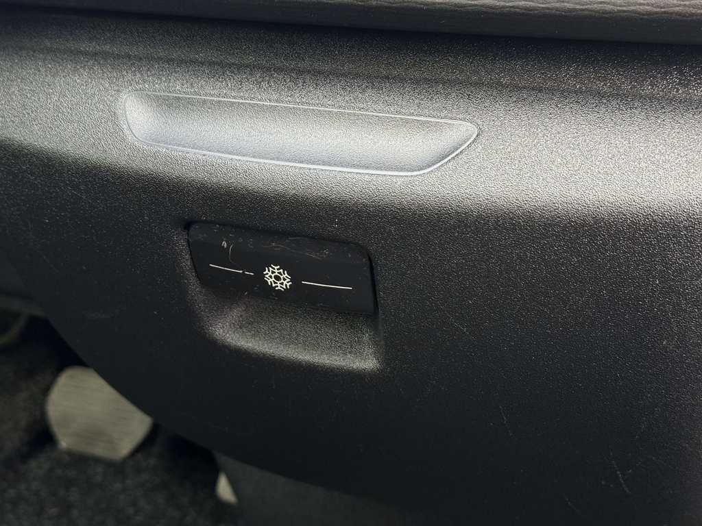 IMG_3228.webp